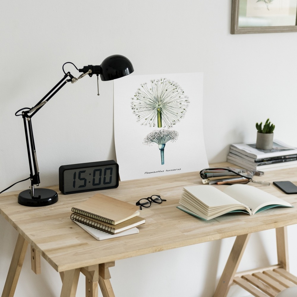 Desk items